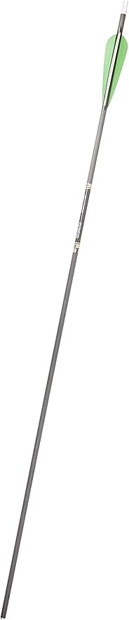 Gold Tip Ultralight Entrada 300 Arrows with 4-Inch Vanes (Pack of 12) Gold Tip Ultralight Entrada 300 Arrows with 4-Inch Vanes (Pack of 12)