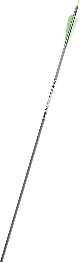 Gold Tip Big Game 250 Arrows with 4-Inch Vanes (Pack of 12) Gold Tip Big Game 250 Arrows with 4-Inch Vanes (Pack of 12)