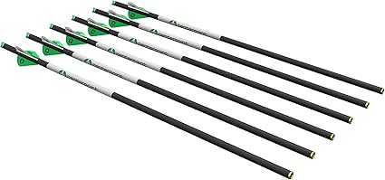 CenterPoint Archery CP400 Select 400-Grain 20-Inch Carbon Arrows, Pack of 6 CenterPoint Archery CP400 Select 400-Grain 20-Inch Carbon Arrows, Pack of 6
